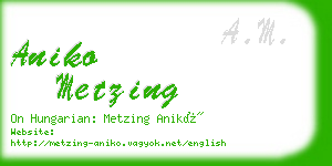 aniko metzing business card